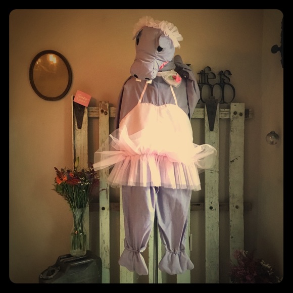 Download Whimsicality Inc Costumes Ballerina Hippo Costume Poshmark
